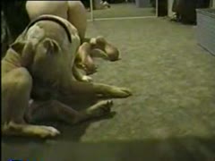 Hot dog sex on the floor with slut
